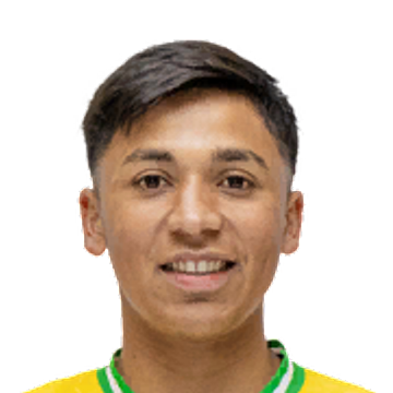 M. Allende M. Allende