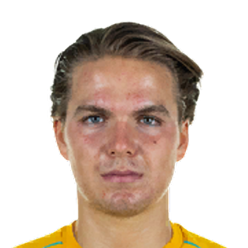 L. Plogmann L. Plogmann