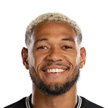 Joelinton Joelinton