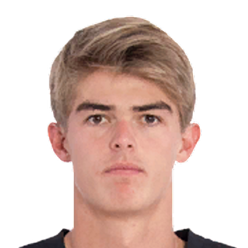 C. De Ketelaere C. De Ketelaere