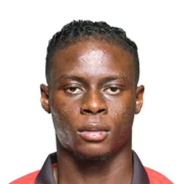 L. Ugochukwu L. Ugochukwu