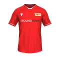 Heimtrikot